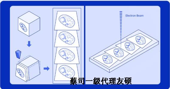 房山蔡司房山扫描电镜